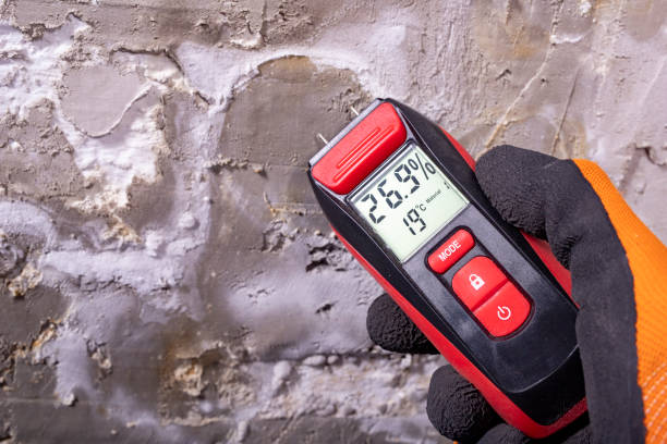 Home Mold Removal in Pocasset, MA