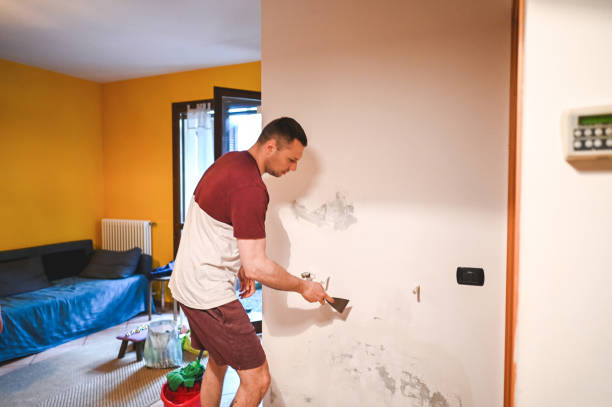 Best Fast Mold Removal  in Pocasset, MA
