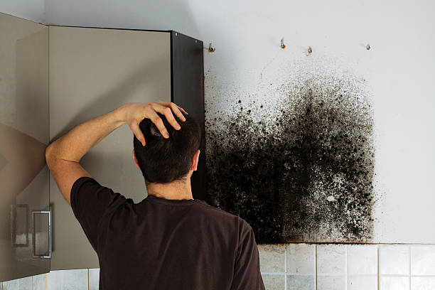 Best Water Damage Restoration  in Pocasset, MA